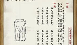 八段锦视频教学口令全套,轻松养生，健康生活新体验